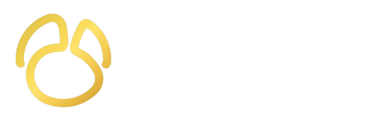 Navicat